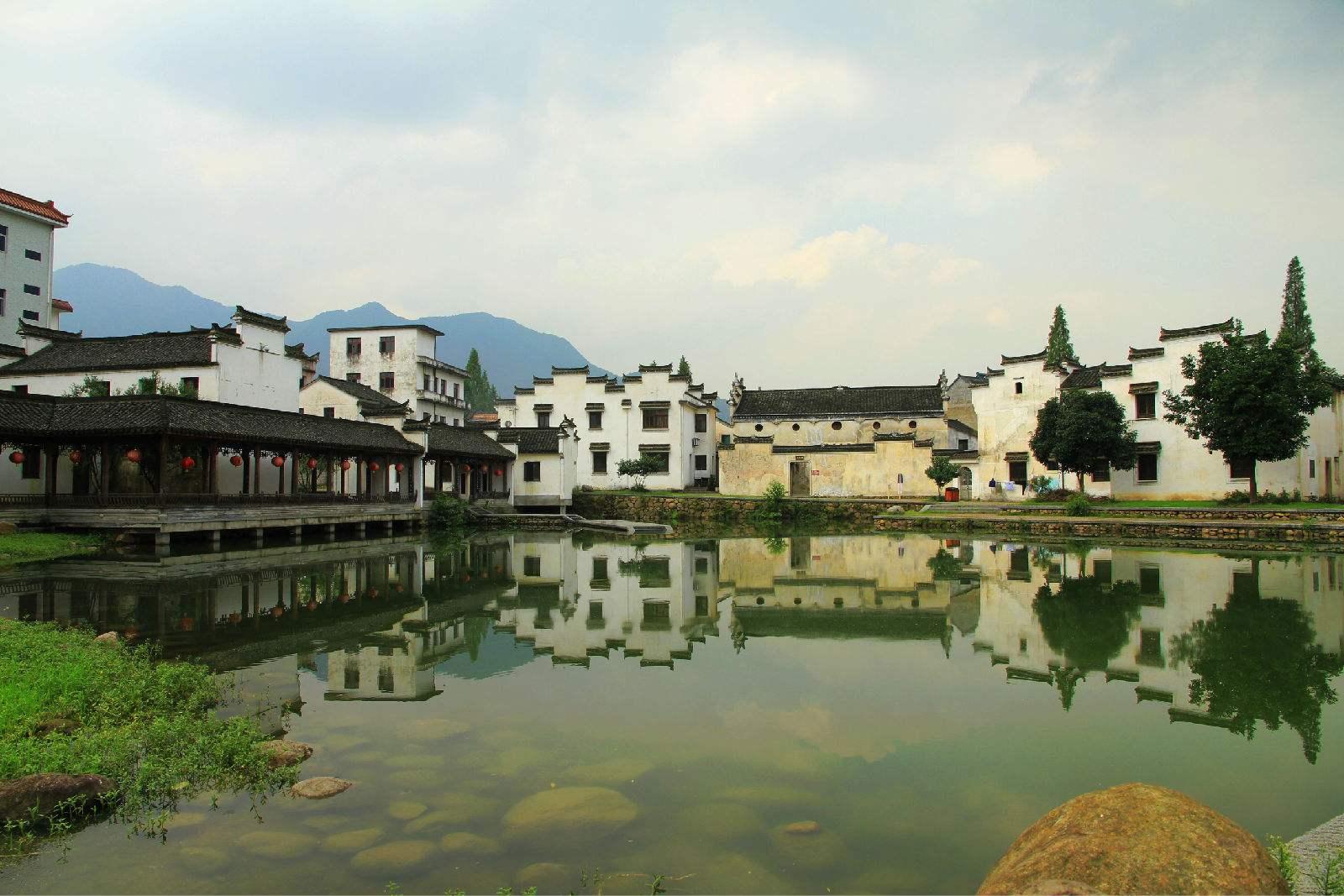 动物帮帮忙保卫家园
