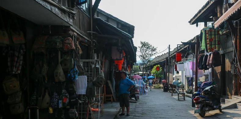 达·芬奇的童年：私生子、没接受教育，这算不算运气好？